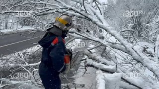 Иллюстрация 2