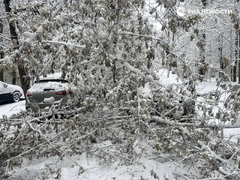 Иллюстрация 2