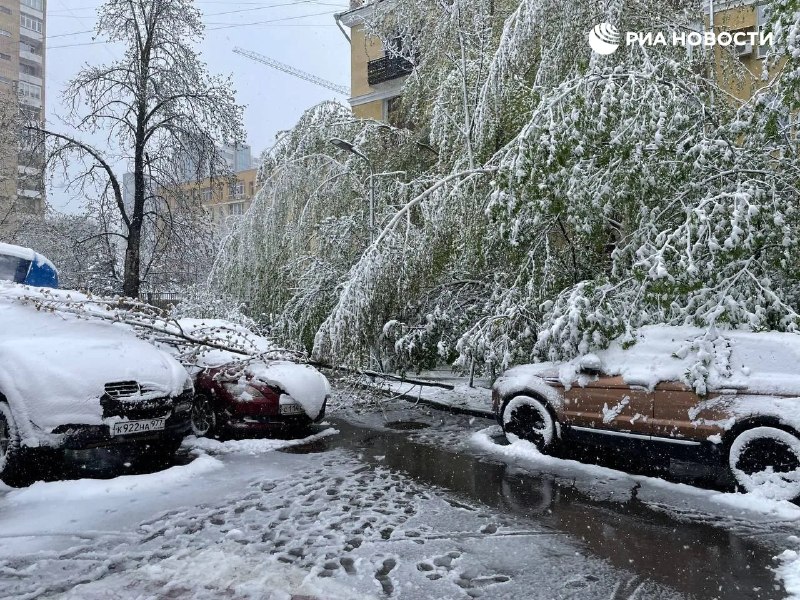 Иллюстрация 3