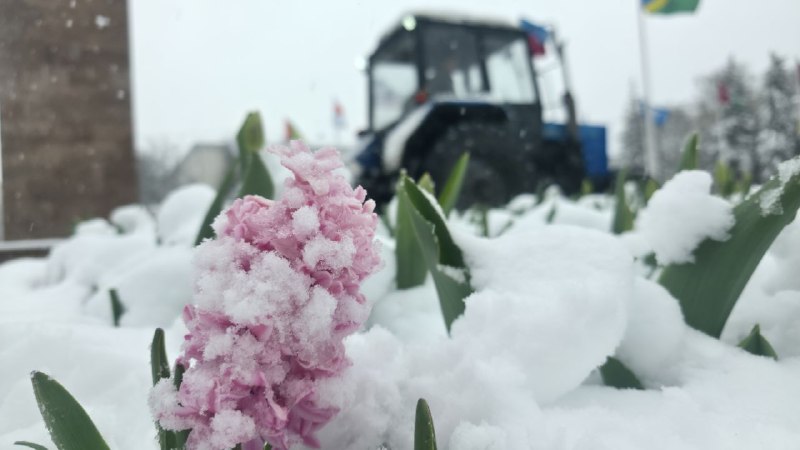 Иллюстрация 2