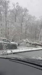 Иллюстрация 1