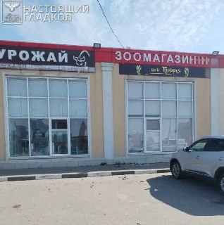 Массированная атака БПЛА на российские регионы: жертвы в Белгородской области и ликвидация диверсантов в Коми