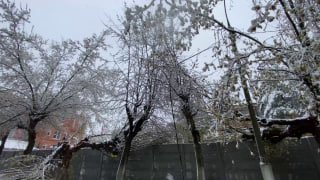 Специалисты устраняют последствия падения деревьев на дорогах