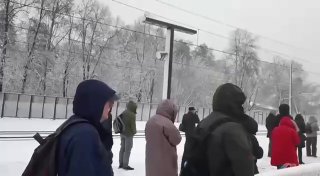 Задержки поездов на МЦД-1 и МЦД-3 из-за упавших деревьев и обрыва проводов