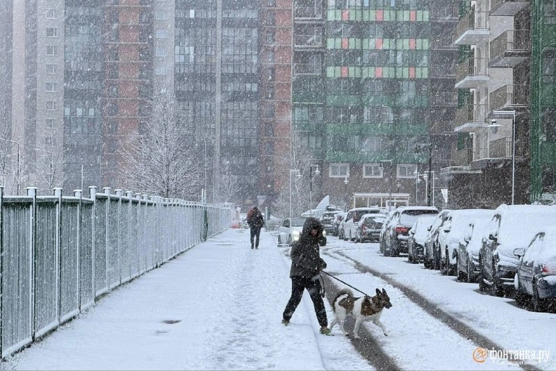 Иллюстрация 2