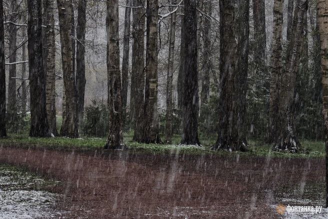 Иллюстрация 3