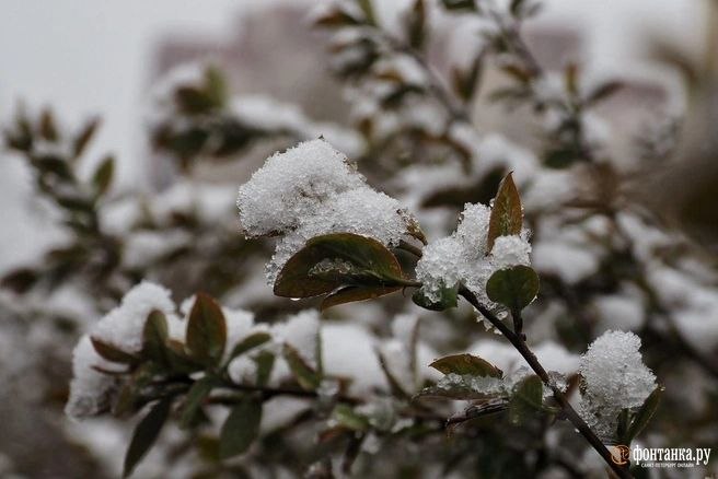 Иллюстрация 6