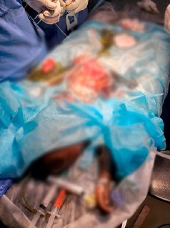 Иллюстрация 6