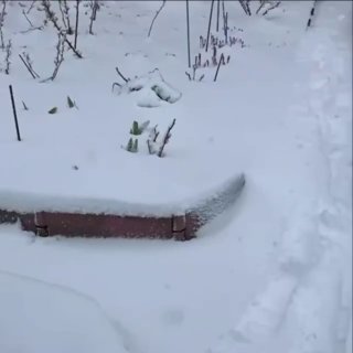 В Москве выпал рекордный для конца апреля снег