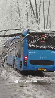 В Москве из-за снегопада ГИБДД призвала пешеходов и водителей к повышенной осторожности