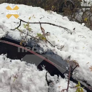 Внезапный снегопад в Москве заставил автомобилистов отложить переход на летнюю резину