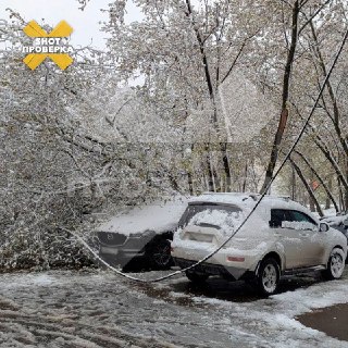 Иллюстрация 2