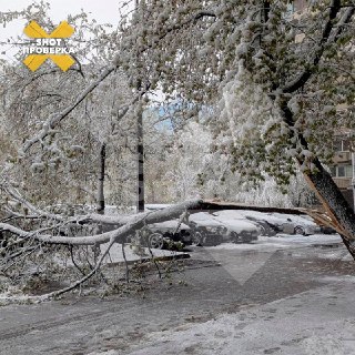 Иллюстрация 3