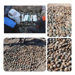 Иллюстрация 1