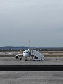 Пассажиров рейса Екатеринбург–Стамбул дважды высаживали из самолёта из-за поломки