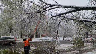 Иллюстрация 1