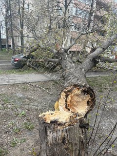 Иллюстрация 2