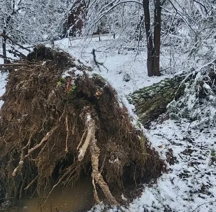 Иллюстрация 3