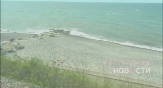 На берегу Сочи обнаружили мёртвых дельфинов