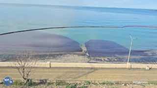 Иллюстрация 1