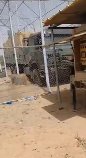 Боевики-азавады захватили станцию управления «Байрактаром» в Мали