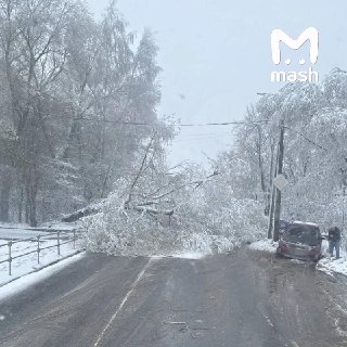 Иллюстрация 2