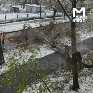 Иллюстрация 3