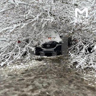 Иллюстрация 4