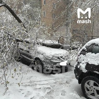 Иллюстрация 5