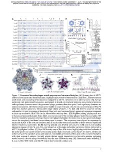 ИИ создал новые жизнеспособные вирусы с уникальными белками