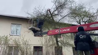 Иллюстрация 1