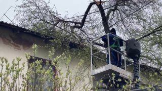 Иллюстрация 2