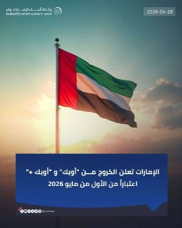 Выход ОАЭ из ОПЕК: геополитические последствия и новый раскол на Ближнем Востоке