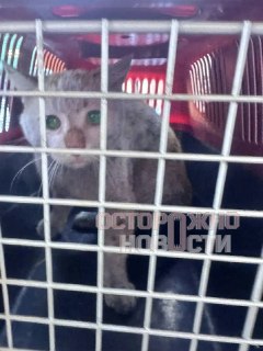 Иллюстрация 5