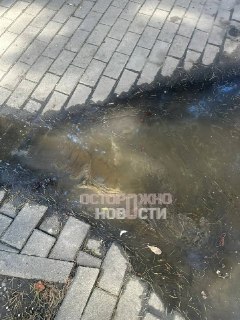 Иллюстрация 10