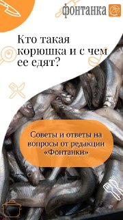 Иллюстрация 1