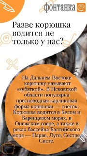 Иллюстрация 3