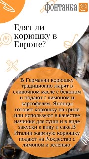 Иллюстрация 4