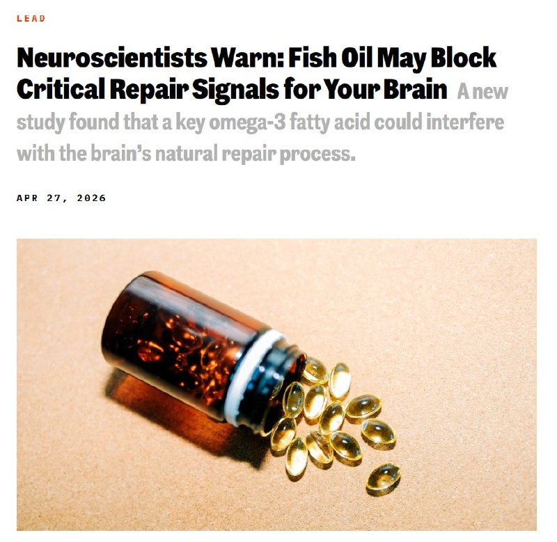 Нейробиологи предупредили о вреде омега-3 для восстановления мозга