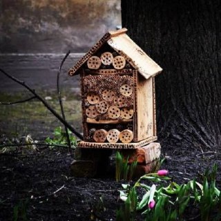 На Васильевском острове соорудили домик для насекомых