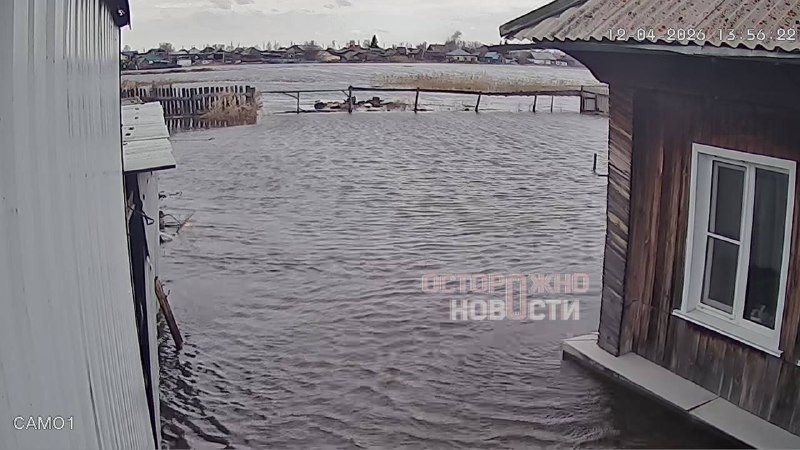 Иллюстрация 4