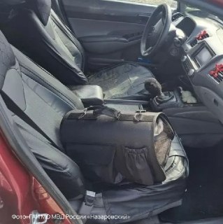 Кот устроил ДТП в Назарово