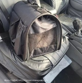 Иллюстрация 2