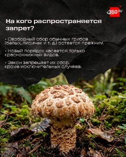 Иллюстрация 2