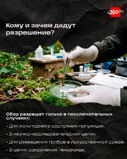 Иллюстрация 3