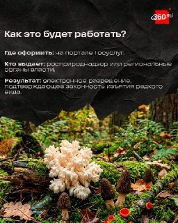 Иллюстрация 4