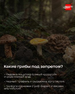 Иллюстрация 5