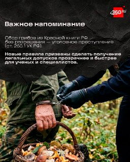 Иллюстрация 6