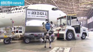 Японская авиакомпания начнет использовать роботов из-за дефицита рабочей силы