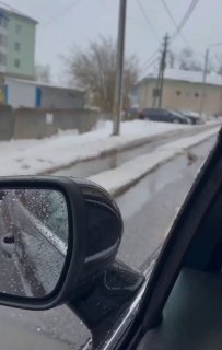 Настоящие утиные истории развернулись в Дмитрове